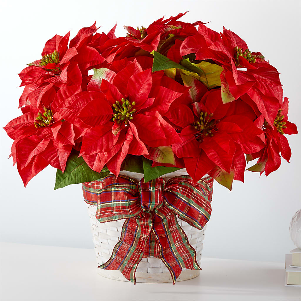 Happiest Holidays Poinsettia – Karnation Korner Florist, Dunedin FL