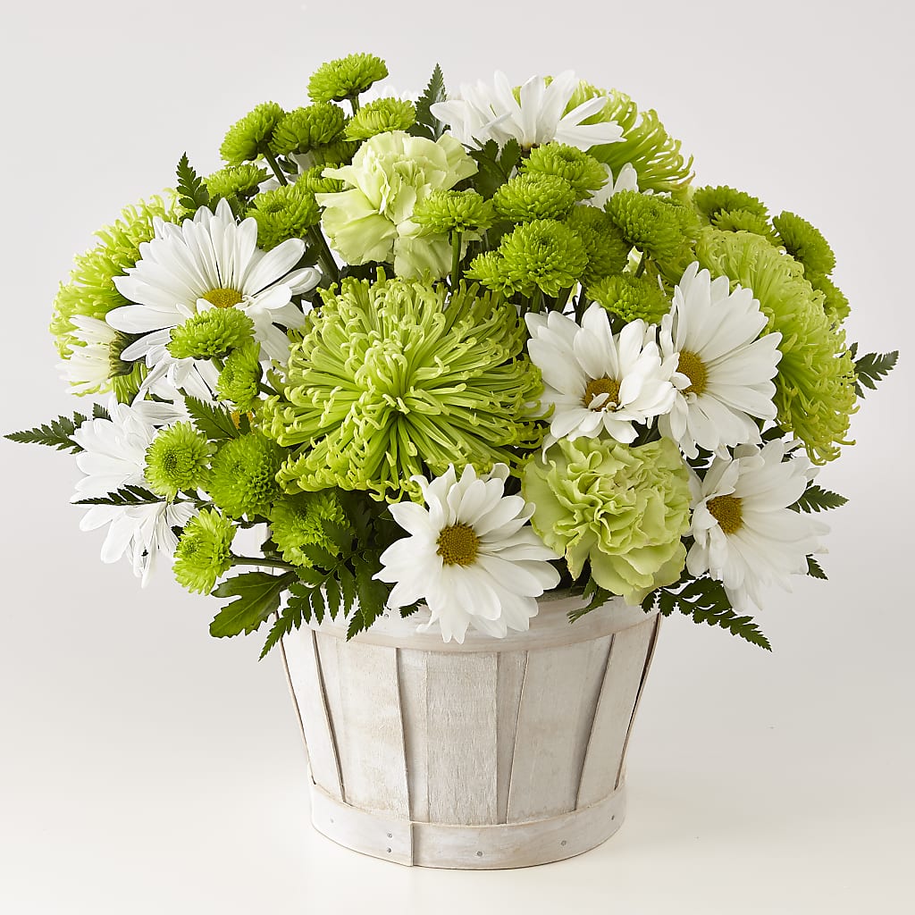 Lucky Charm Basket (Standard) – Karnation Korner Florist, Dunedin FL