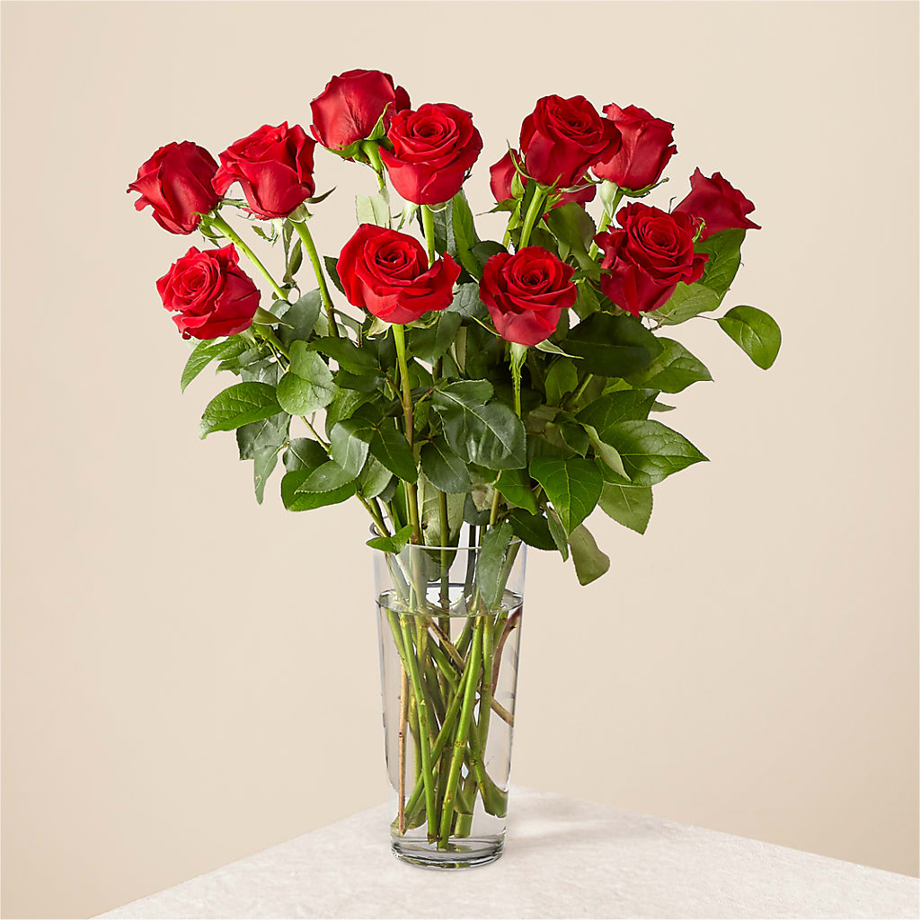 Long Stem Red Rose Bouquet – Karnation Korner Florist, Dunedin FL