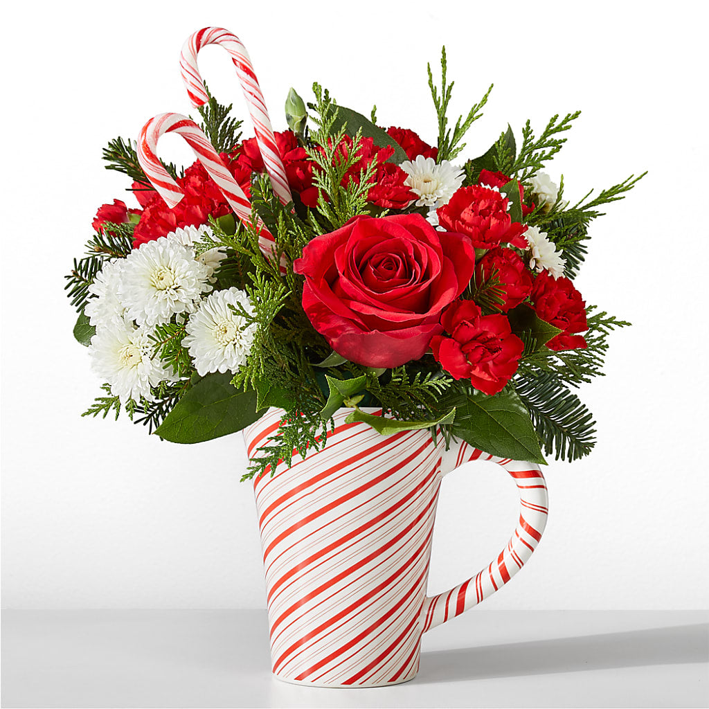 Peppermint Swirl Mug – Karnation Korner Florist, Dunedin FL