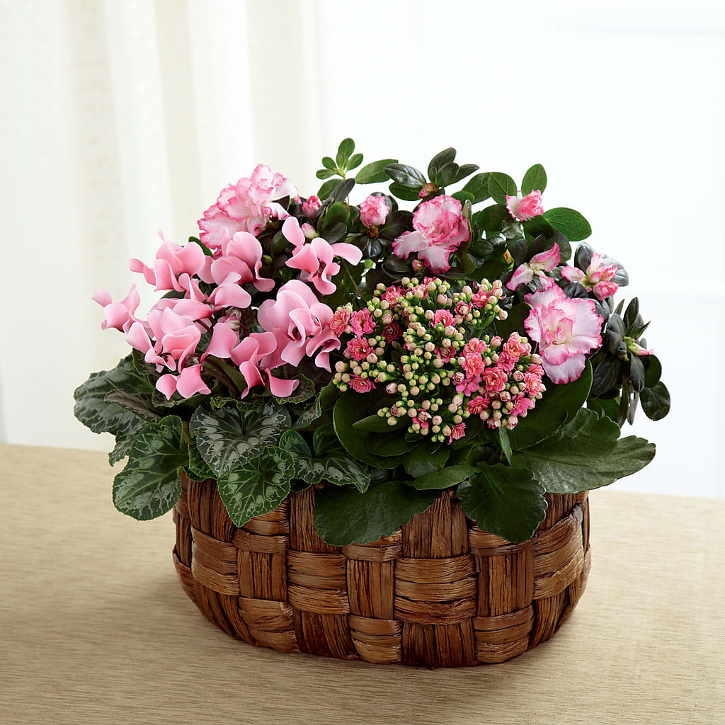 Pink Assortment – Karnation Korner Florist, Dunedin FL