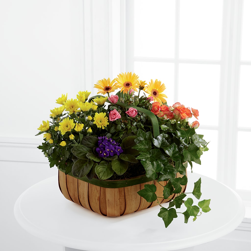 Gentle Blossoms Basket – Karnation Korner Florist, Dunedin FL