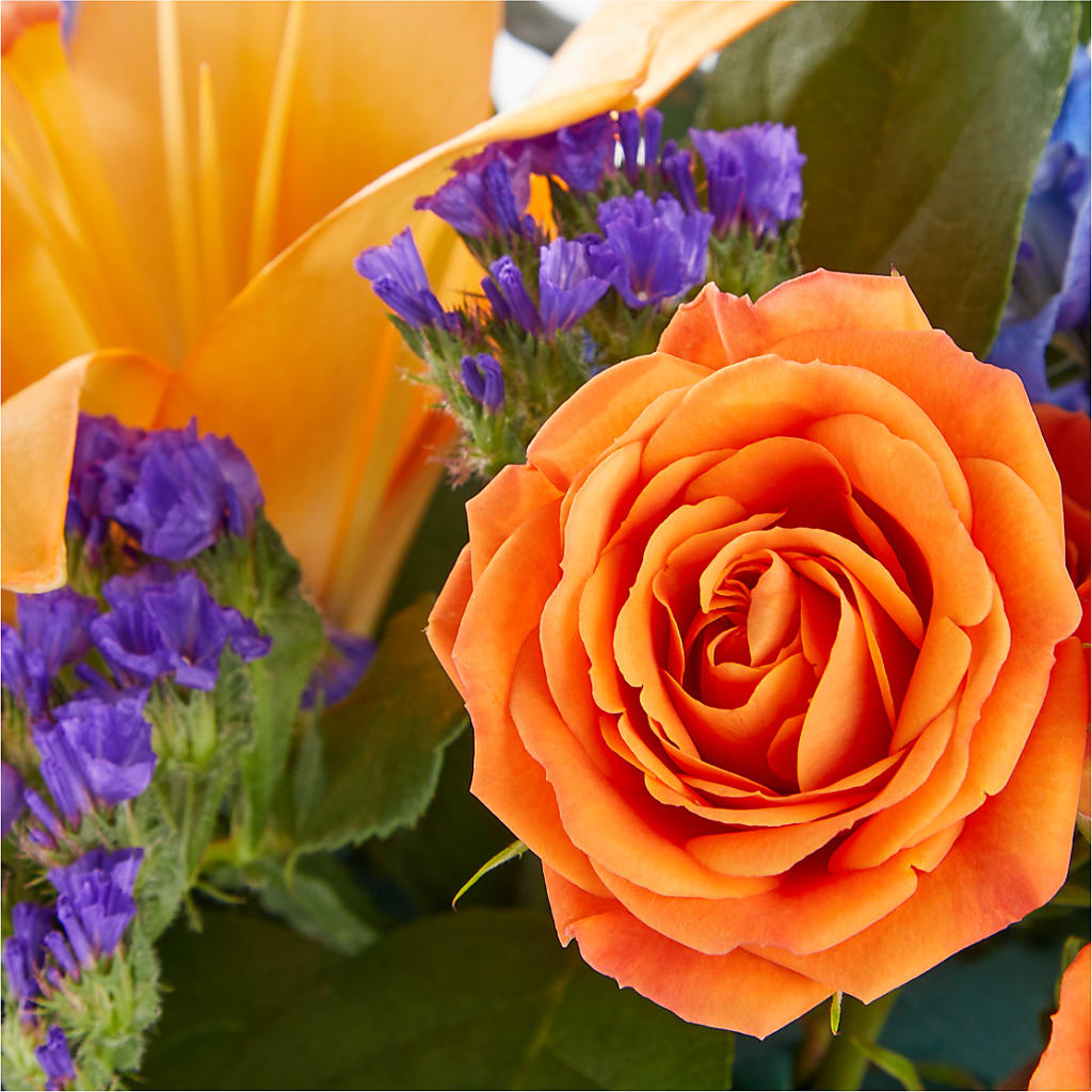 Radiant Citrus Box Bouquet – Karnation Korner Florist, Dunedin FL