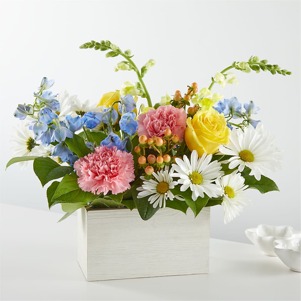 Sun Salutation Box Bouquet – Karnation Korner Florist, Dunedin FL