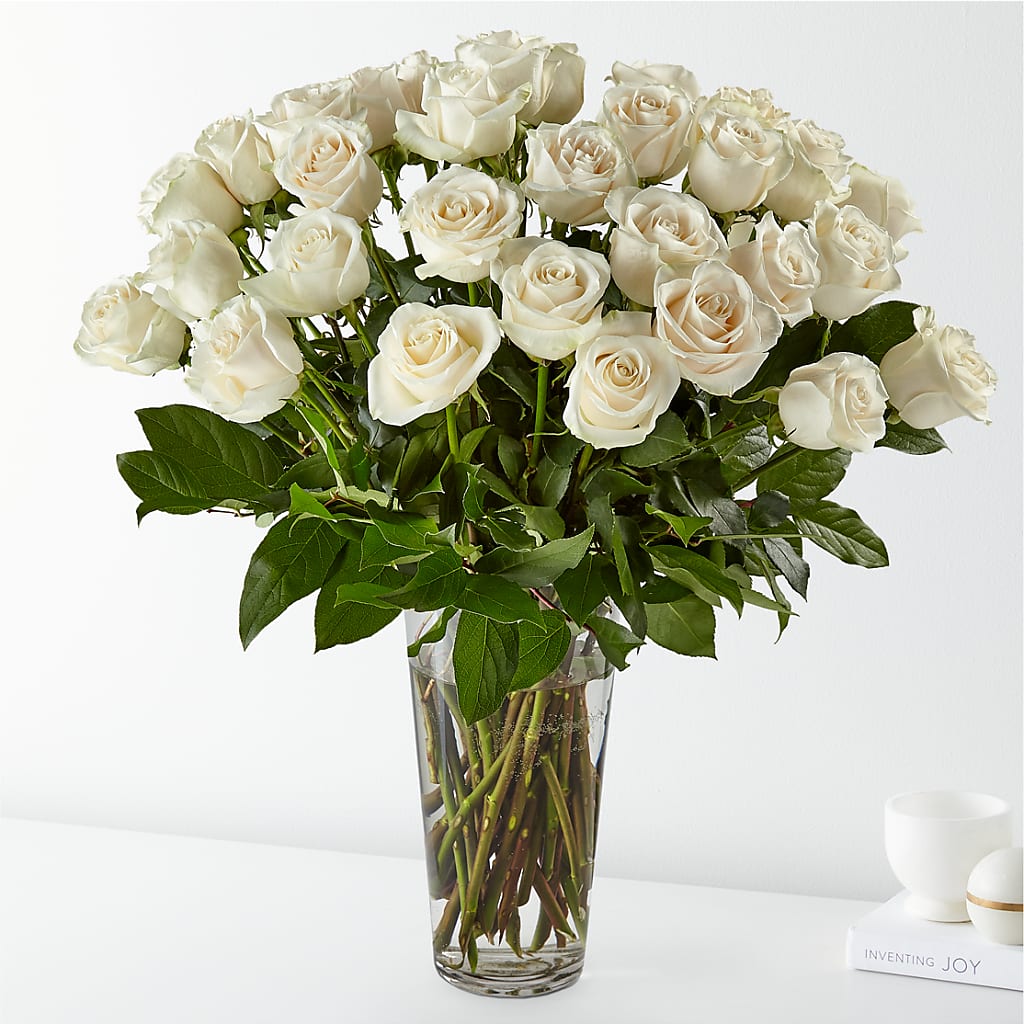 Long Stem White Rose Bouquet – Karnation Korner Florist, Dunedin FL