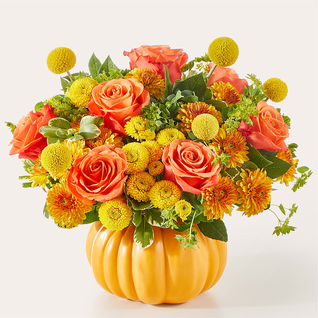 Gourdgeous Pumpkin – Karnation Korner Florist, Dunedin FL