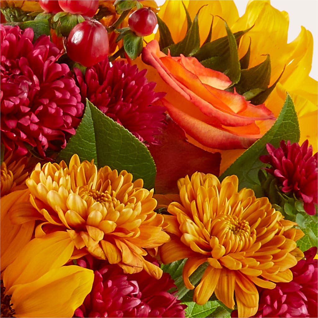 Sweater Season - A Florist Original – Karnation Korner Florist, Dunedin FL