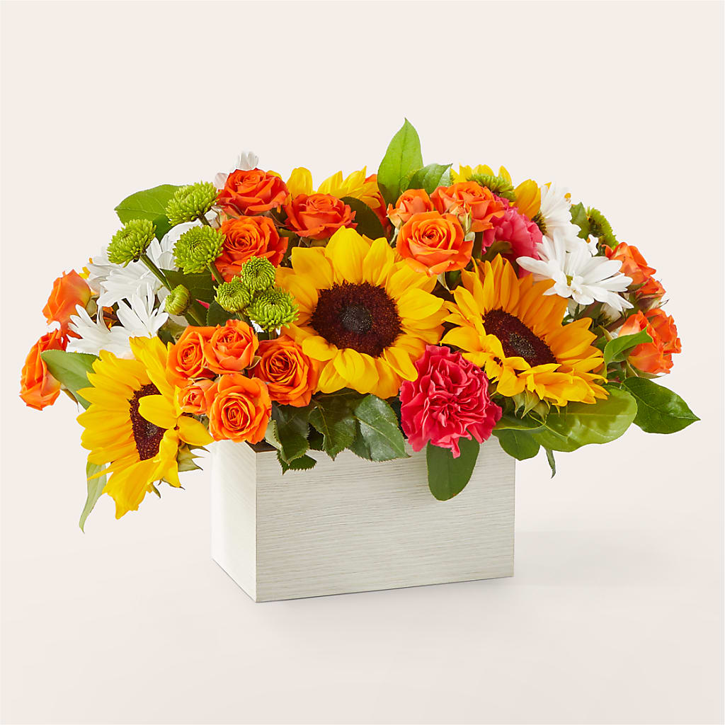Sun-drenched Blooms Box Bouquet – Karnation Korner Florist, Dunedin FL