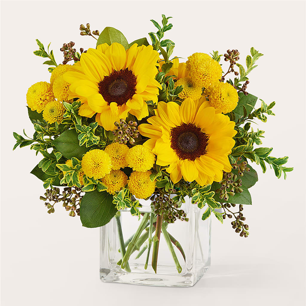 Luminous Morning Bouquet – Karnation Korner Florist, Dunedin FL