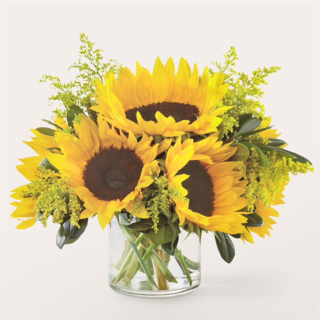 Beaming Sunflower Bouquet – Karnation Korner Florist, Dunedin FL