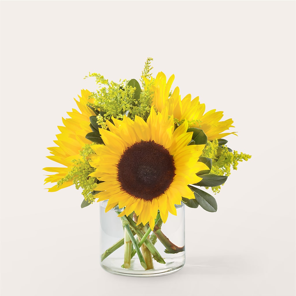 Beaming Sunflower Bouquet – Karnation Korner Florist, Dunedin FL