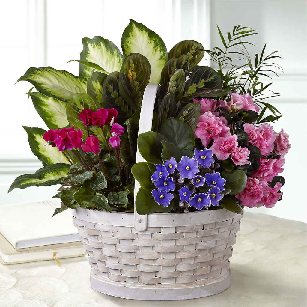 Peaceful Garden Planter – Karnation Korner Florist, Dunedin FL