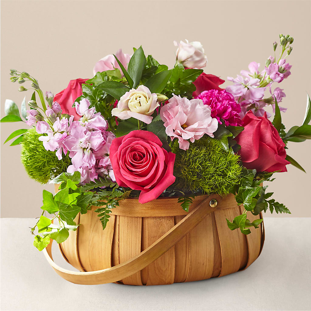 Radiance in Bloom Basket – Karnation Korner Florist, Dunedin FL