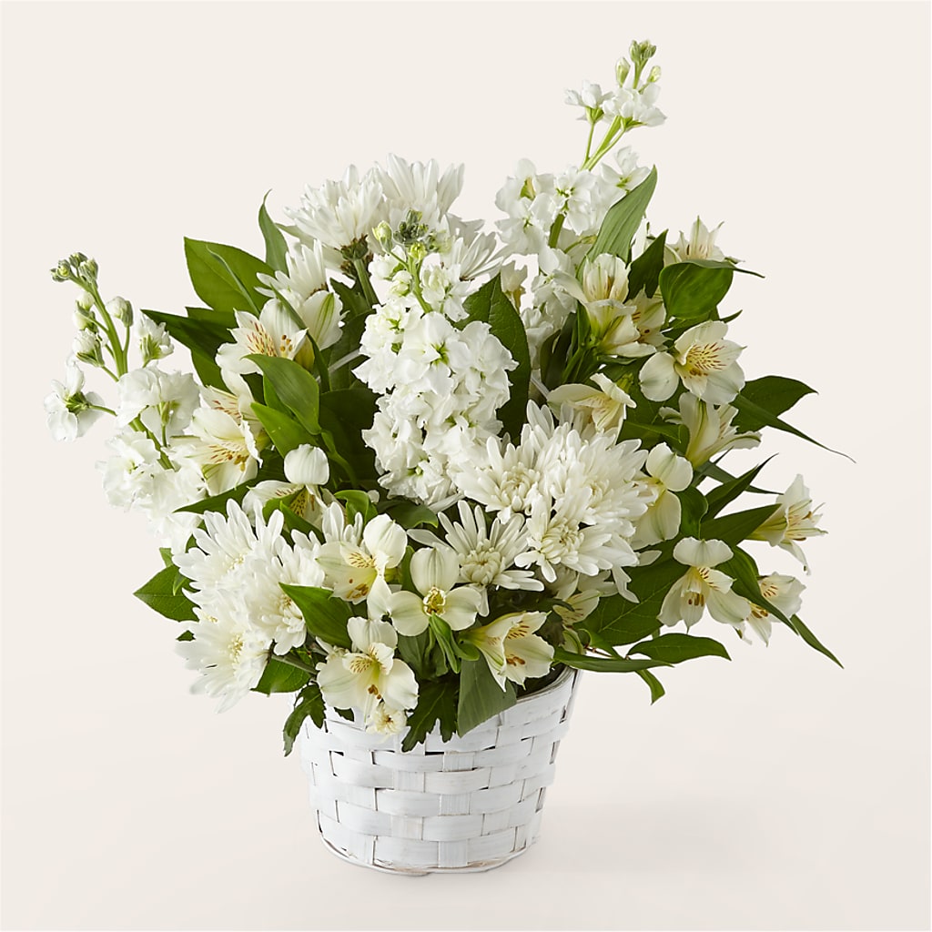 Eternal Affection Arrangement – Karnation Korner Florist, Dunedin FL