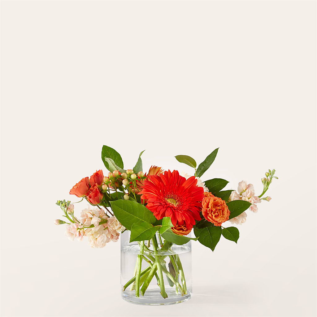 Paloma Please Bouquet – Karnation Korner Florist, Dunedin FL