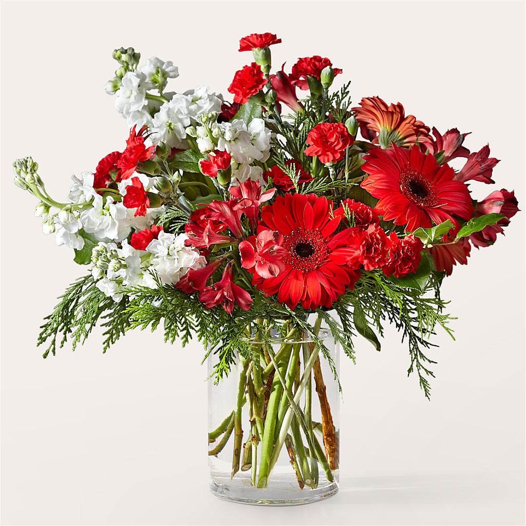 Holidaisy Bouquet – Karnation Korner Florist, Dunedin FL
