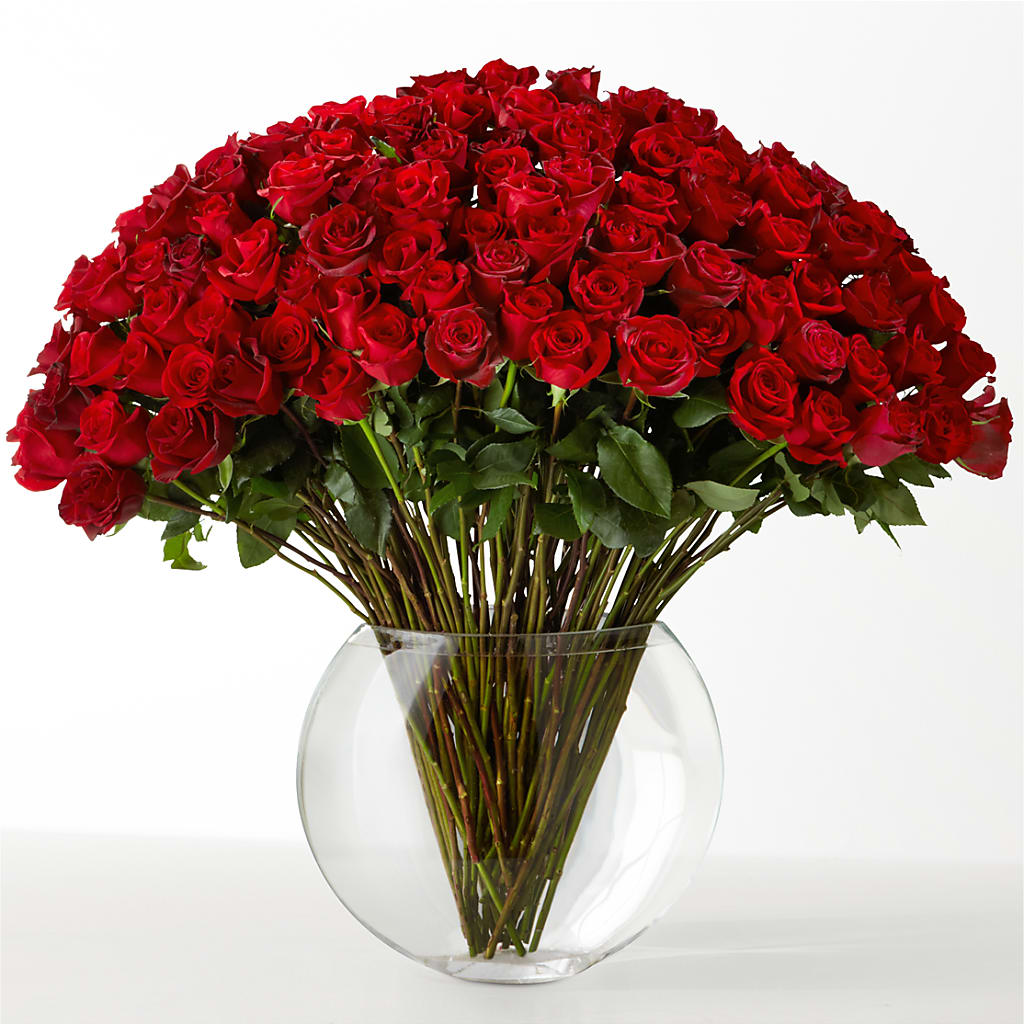 The Idealist – Karnation Korner Florist, Dunedin FL