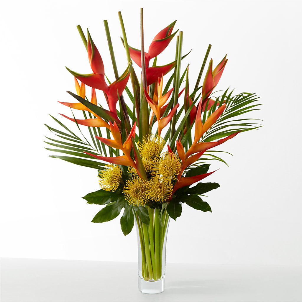 The Drama – Karnation Korner Florist, Dunedin FL