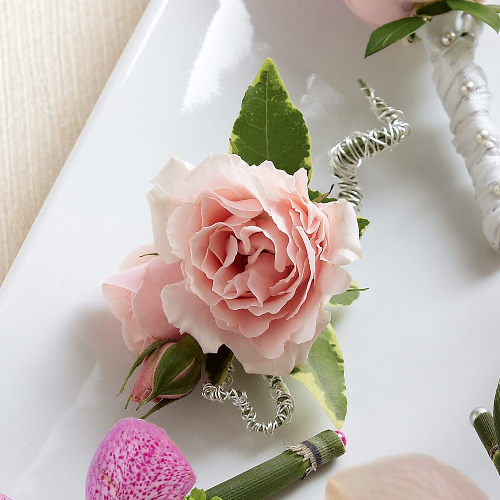 Pink Spray Rose Boutonniere – Karnation Korner Florist, Dunedin FL