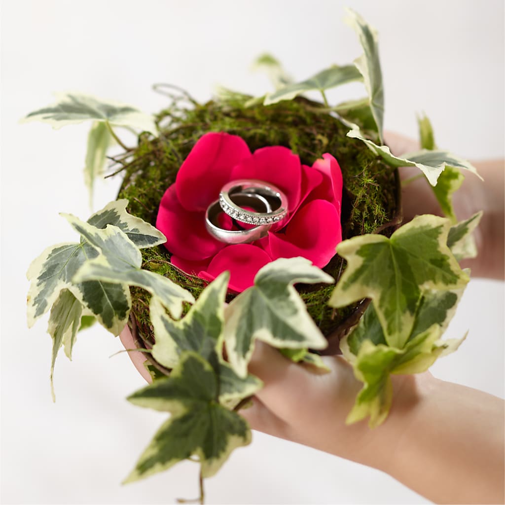Lila Rose Ring Nest – Karnation Korner Florist, Dunedin FL