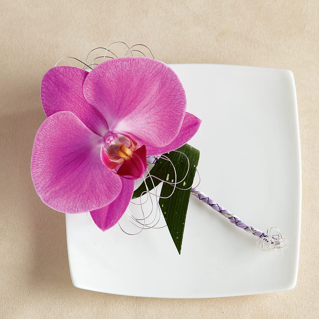 Glorious Boutonniere – Karnation Korner Florist, Dunedin FL