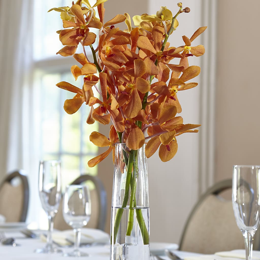 Orange Mokara Bud Vase – Karnation Korner Florist, Dunedin FL