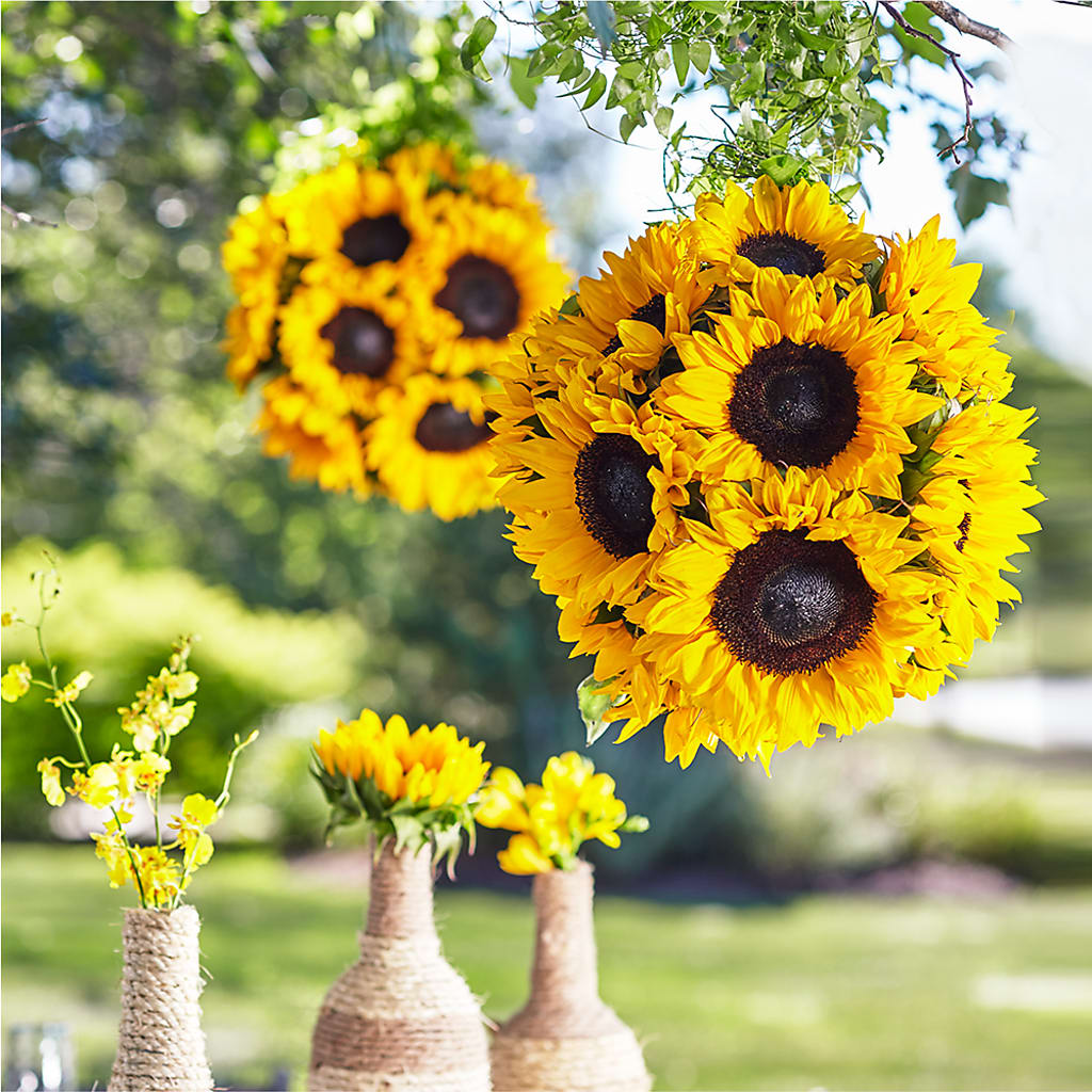 Sublime Garden Hanging Arrangement – Karnation Korner Florist, Dunedin FL