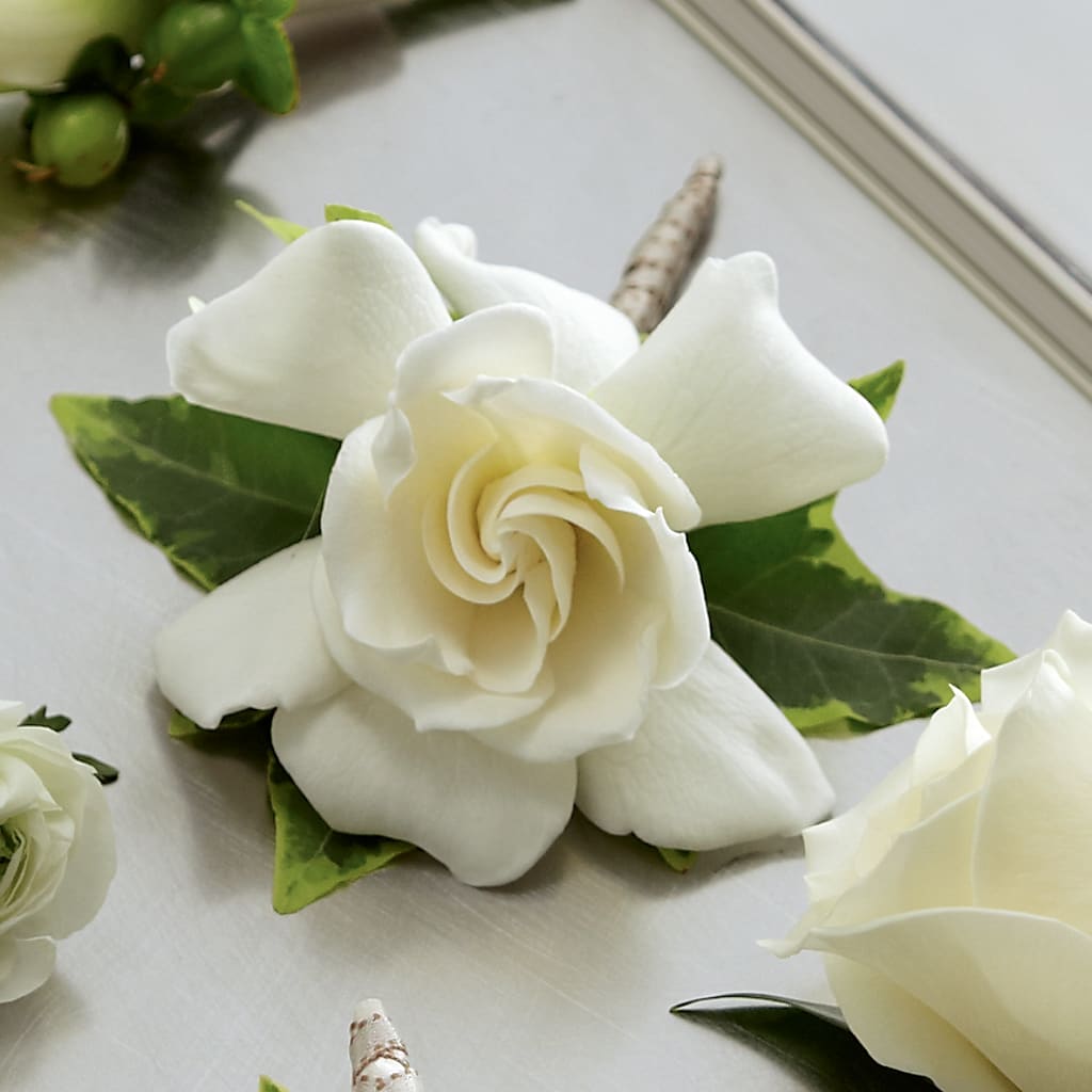 Gardenia Boutonniere – Karnation Korner Florist, Dunedin FL