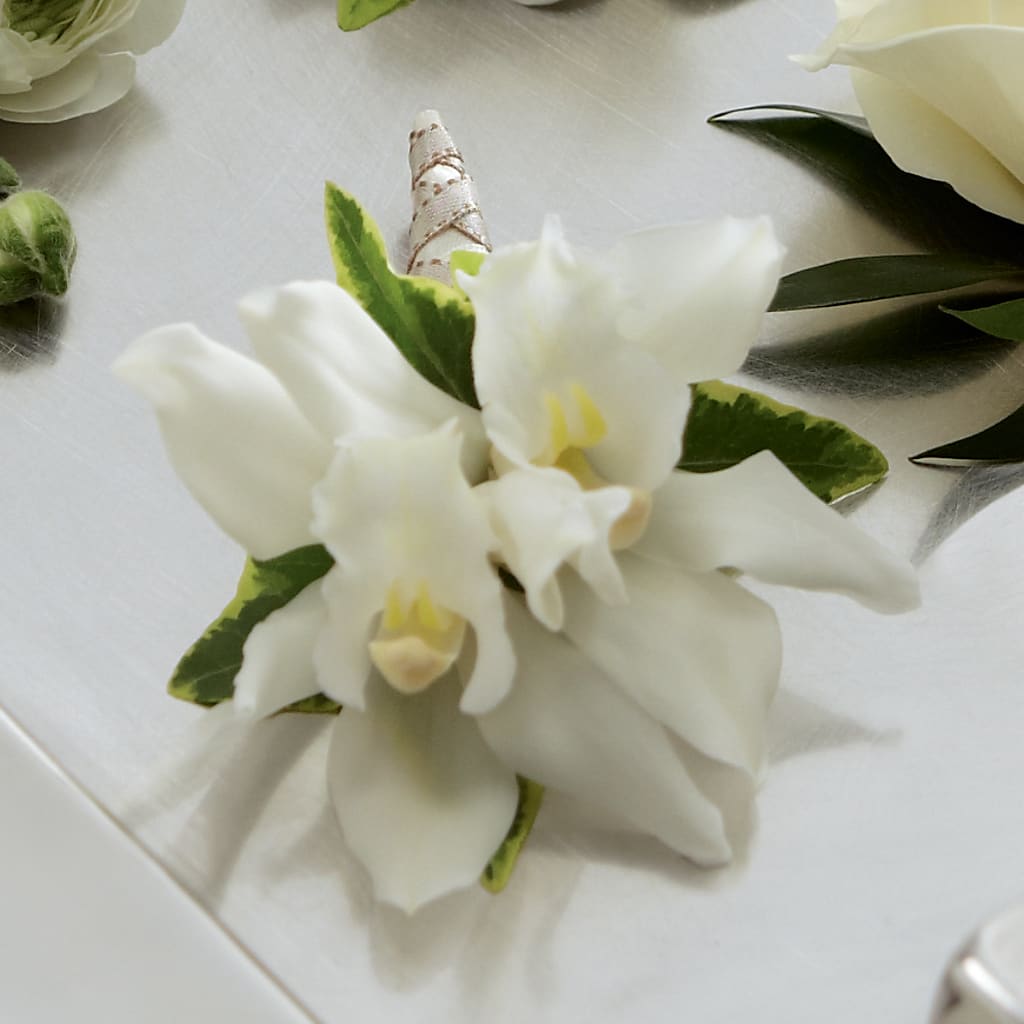 White Mini Cymbidium Boutonniere – Karnation Korner Florist, Dunedin FL