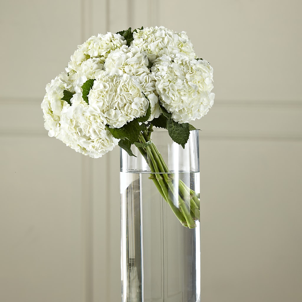 White Hydrangea Hand-Tied Bouquet – Karnation Korner Florist, Dunedin FL