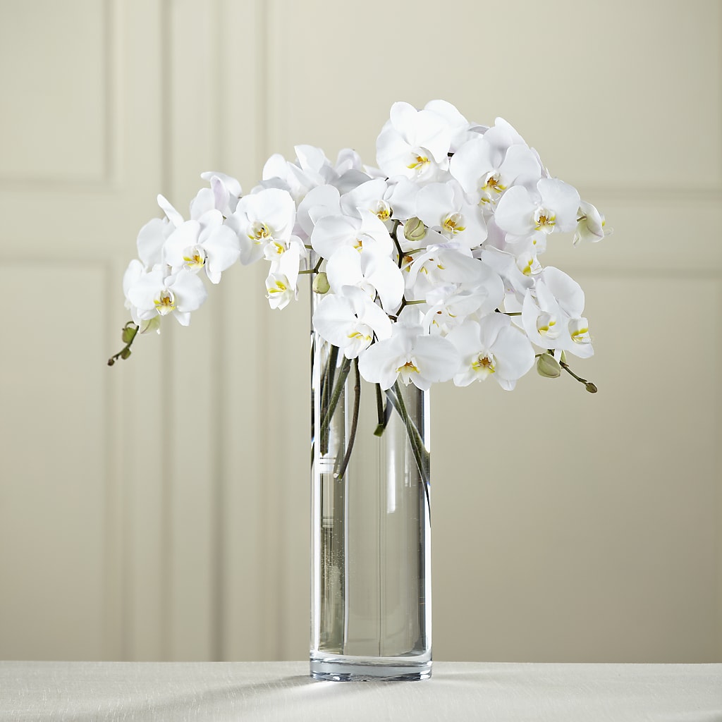 White Phalaenopsis Bouquet – Karnation Korner Florist, Dunedin FL