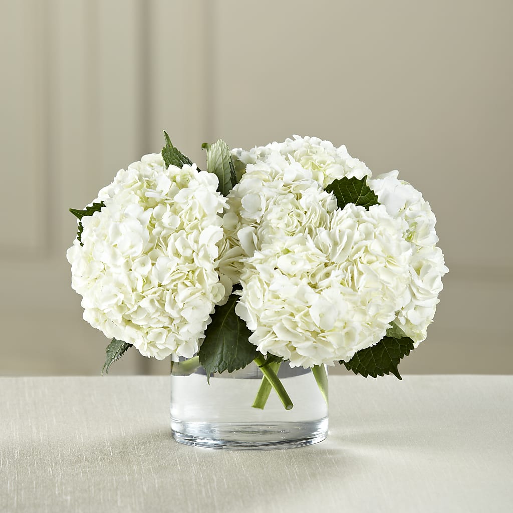 White Hydrangea Bouquet – Karnation Korner Florist, Dunedin FL