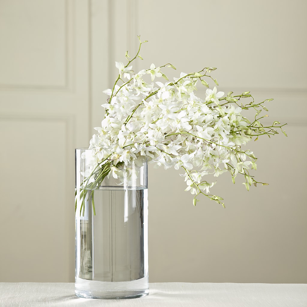 White Dendrobium Bouquet – Karnation Korner Florist, Dunedin FL