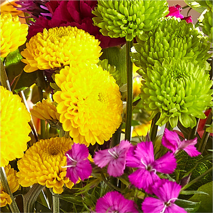 Bold & Bright – A Florist Original –  Karnation Korner Florist, Dunedin FL