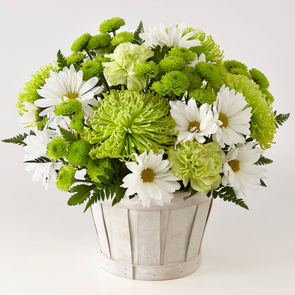 Lucky Charm Basket (Standard) –  Karnation Korner Florist, Dunedin FL
