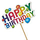 Happy Birthday Pick –  Karnation Korner Florist, Dunedin FL