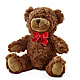 Adorable Plush Bear –  Karnation Korner Florist, Dunedin FL