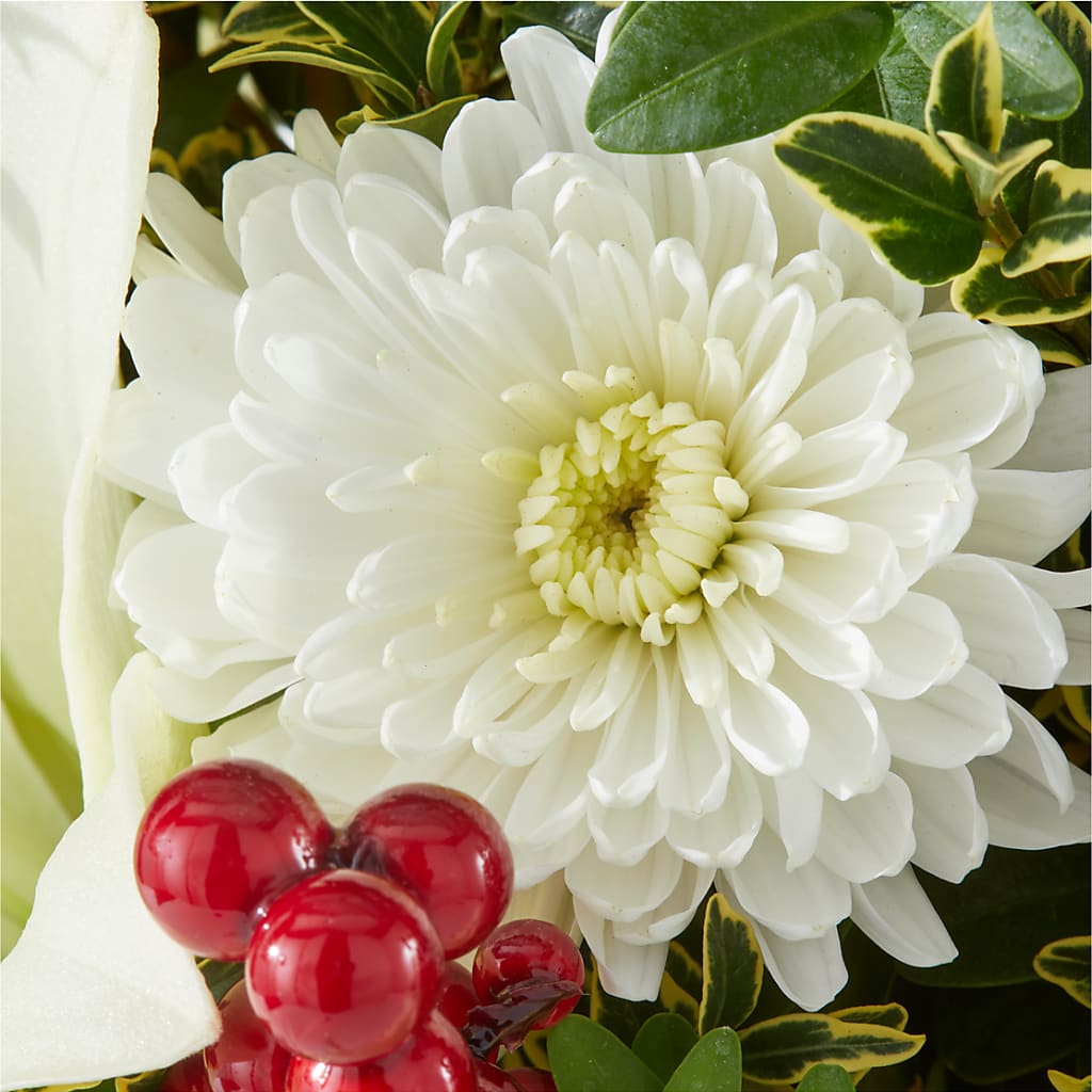 Festive Moments Tree –  Karnation Korner Florist, Dunedin FL