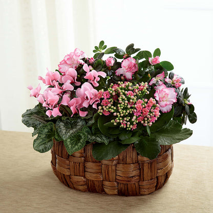 Pink Assortment –  Karnation Korner Florist, Dunedin FL