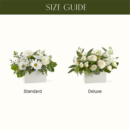 Fresh Linen Box Bouquet –  Karnation Korner Florist, Dunedin FL
