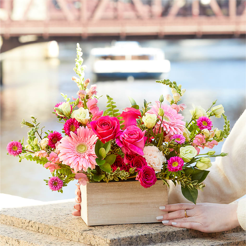 Too Cute Bouquet –  Karnation Korner Florist, Dunedin FL