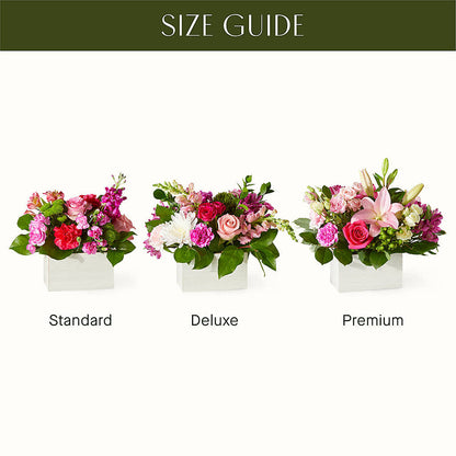 Sweetberry Box – A Florist Original –  Karnation Korner Florist, Dunedin FL
