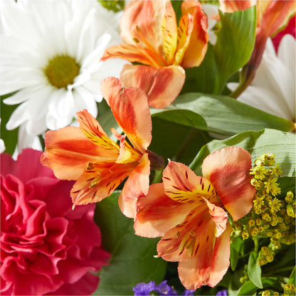 Oopsie Daisy Box Bouquet –  Karnation Korner Florist, Dunedin FL
