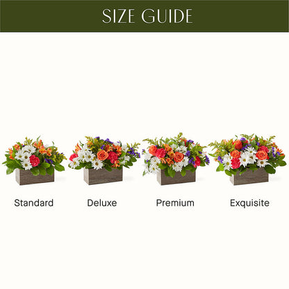 Oopsie Daisy Box Bouquet –  Karnation Korner Florist, Dunedin FL