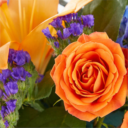 Radiant Citrus Box Bouquet –  Karnation Korner Florist, Dunedin FL