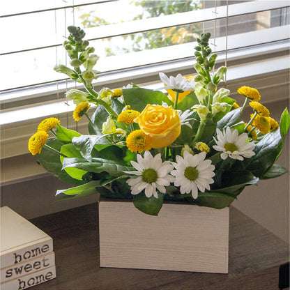 Sun Salutation Box Bouquet –  Karnation Korner Florist, Dunedin FL