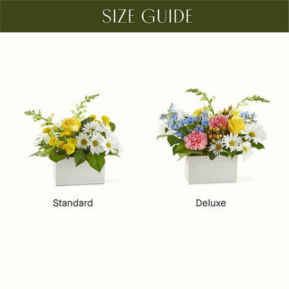 Sun Salutation Box Bouquet –  Karnation Korner Florist, Dunedin FL