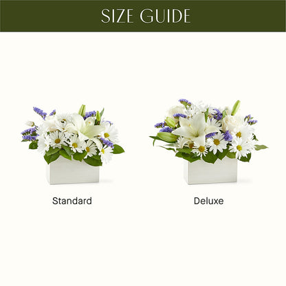 Beyond Blue Box Bouquet –  Karnation Korner Florist, Dunedin FL