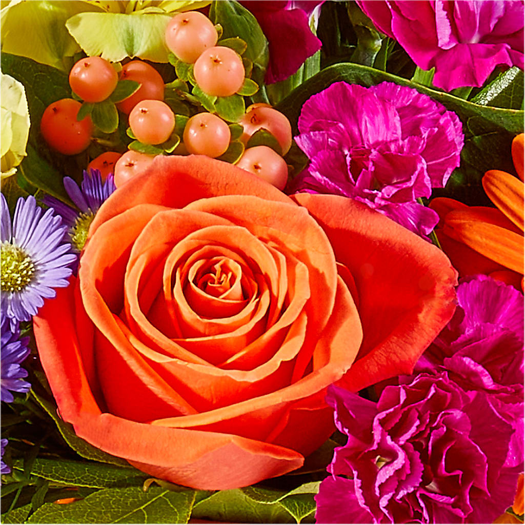 Tricks & Treats Pumpkin –  Karnation Korner Florist, Dunedin FL