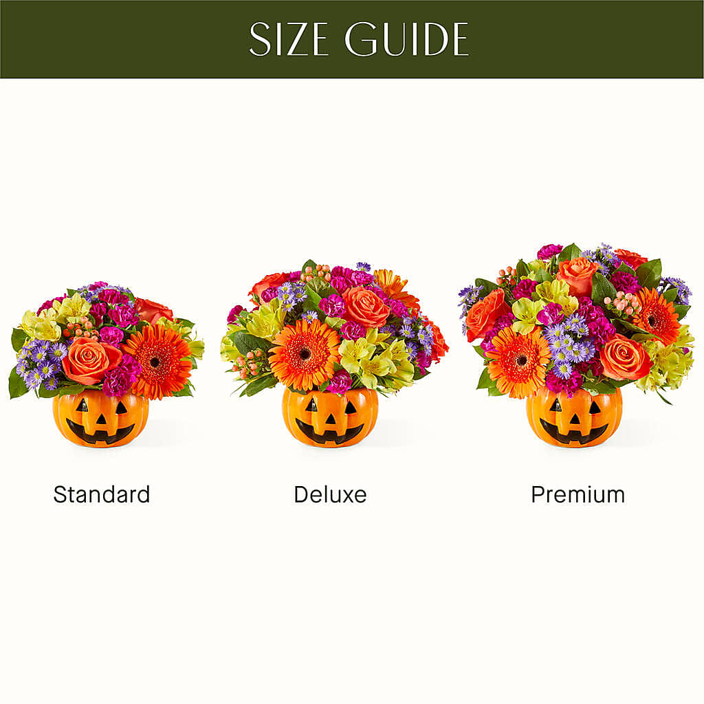 Tricks & Treats Pumpkin –  Karnation Korner Florist, Dunedin FL